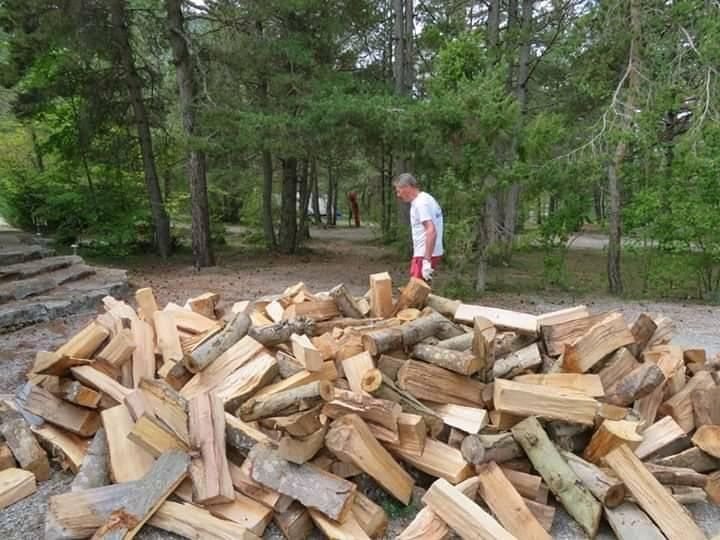 Bois à sécher chêne · hêtre