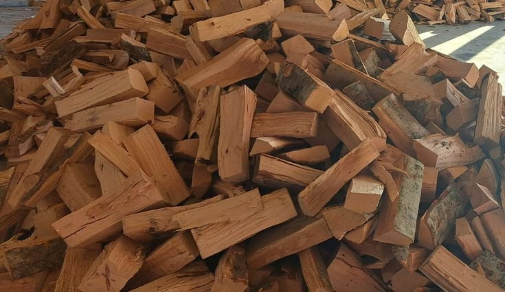 Bûches de robinier (acacia) — photo 2